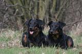 BEAUCERON 985